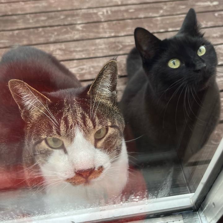 E96d71f1 b24c 4853 9be9 17e0a944f8d8 1748041992982