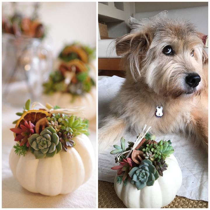 E96d7380 a2f9 4617 8b4c e7b5ae9197cd 1537569810239