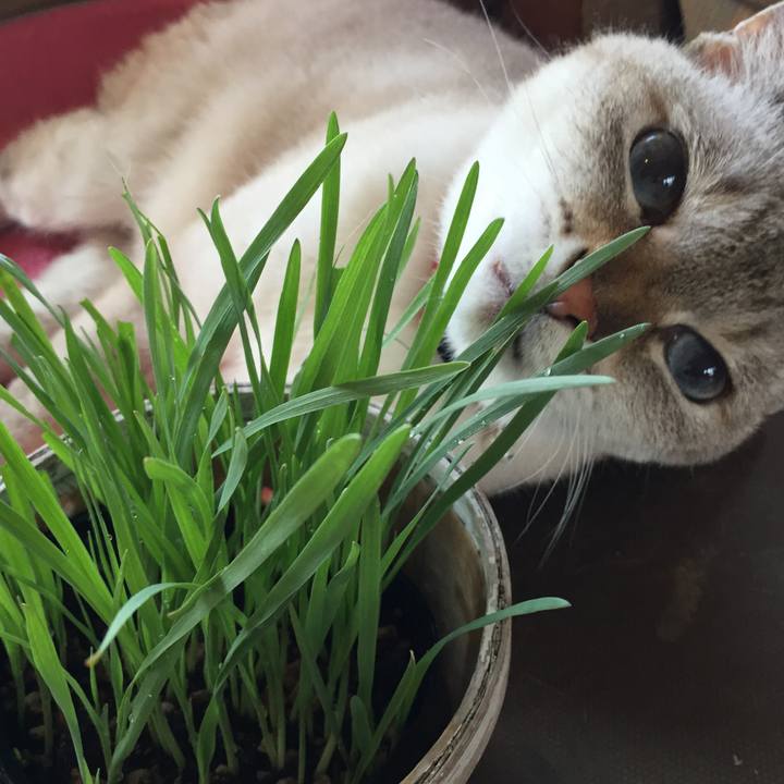 E96d80a2 779e 4518 91d4 c0c804253010 1533596607631