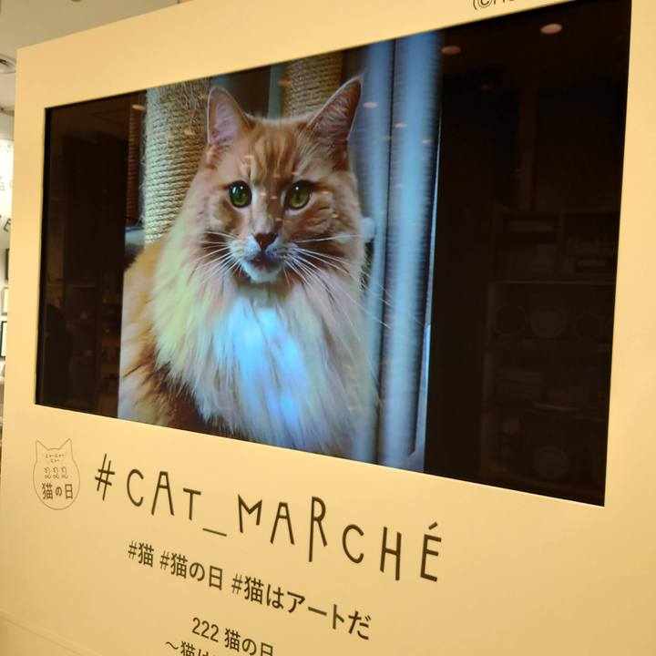 E96d8f75 70a0 4fa7 adc6 4344cba8b6c1 1760711877471