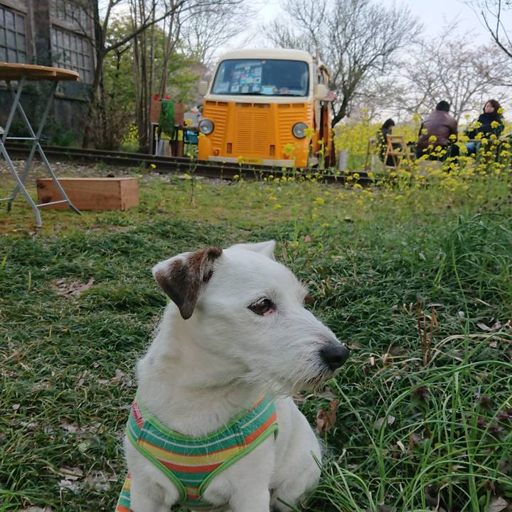 E96dc324 c128 4a4c 90c7 4c5113f13557 1554032864840