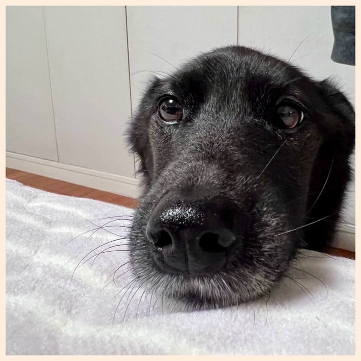 E96e6139 2b4c 4e80 b609 a6786f1e158c 1709947037397