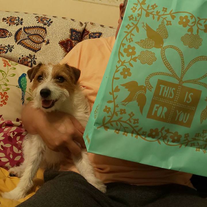 E96ec155 9440 4a31 90f5 c3f5caccb14f 1562507675591