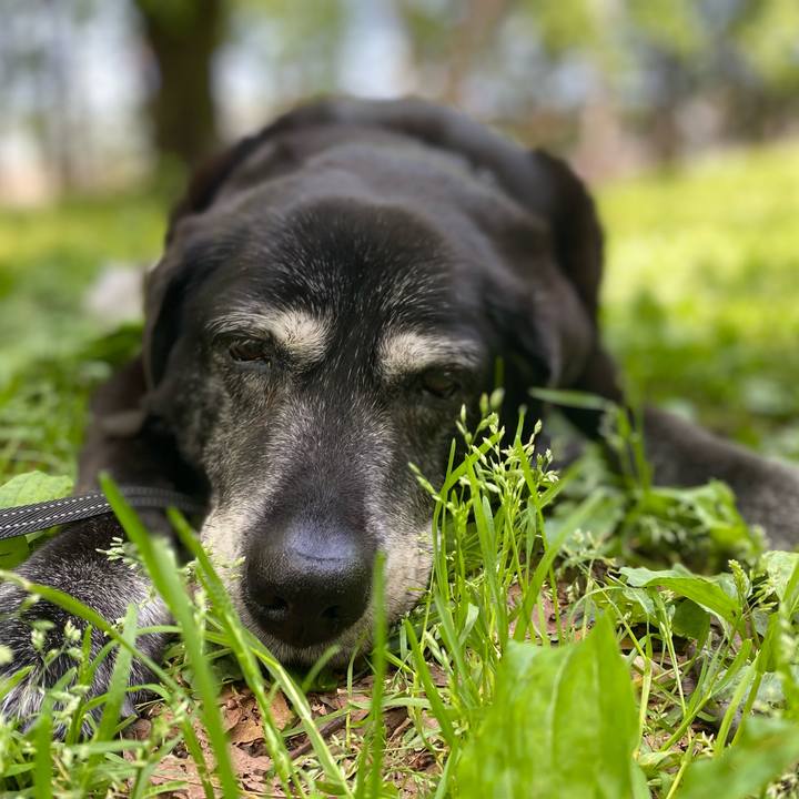 E96f4d01 42ac 4393 8aa8 0104f2c0f7be 1746583497451