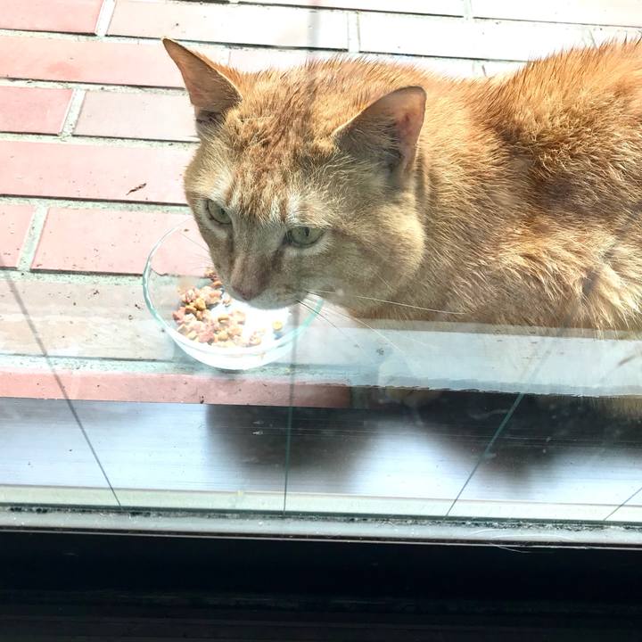 E96f7bb4 69b6 4fe5 874b e9f9668b4f69 1618889592982