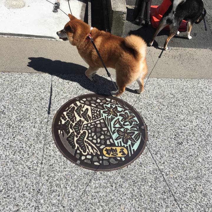 E96fc649 a18a 489b af8d 982fdd5bb637 1627221315833