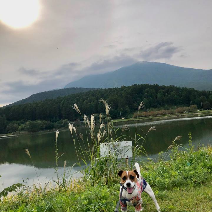 E96fce7a 18df 43a5 9668 ca36cf7c02b0 1601372112718