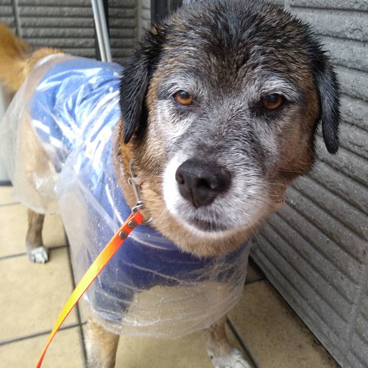 E96fe0fa b176 46fc b5a9 fae8ff1cd1fa 1558396918741