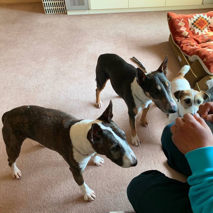 E96fe7a4 dd35 42ff a93c 779fefdc27c7 1583042063555