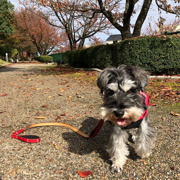 E9700b52 52b7 4eed a8df f789de2aa7c0 1573373927549