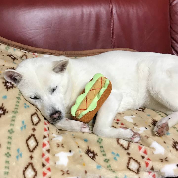 E9703104 c216 46ff 83f7 41e99b0a0058 1513501989707