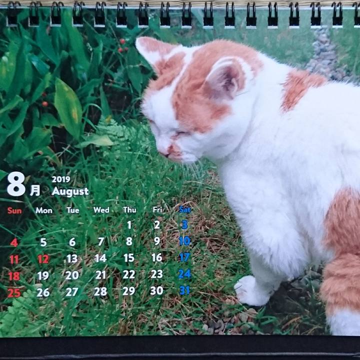 E97033f4 4231 40b0 a92d fdbc6310cdd2 1564795113632