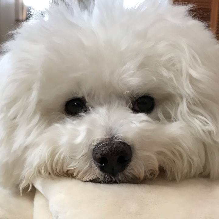 E970a06e be32 47b4 94d6 dac3726249c3 1580368681154