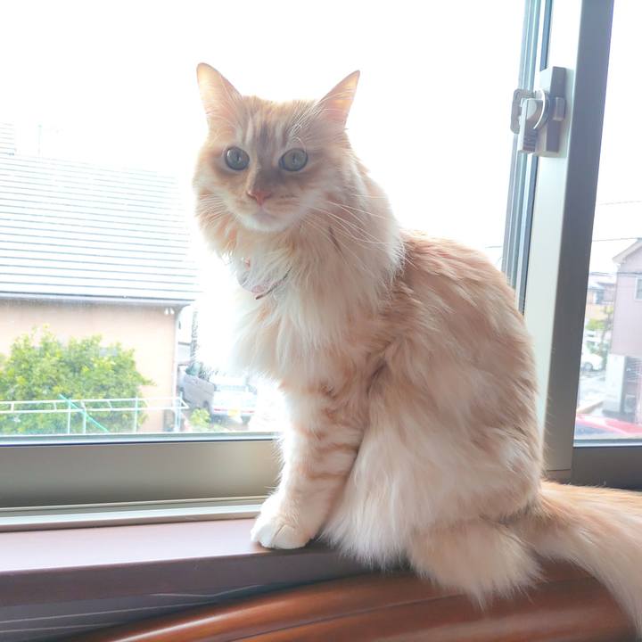 E970cec3 8e0e 4045 a786 e7a0acd6b3c4 1681537263666