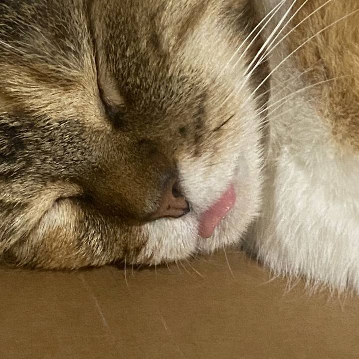 E970d2eb 85f0 408b 8009 06101eeef749 1723456009951