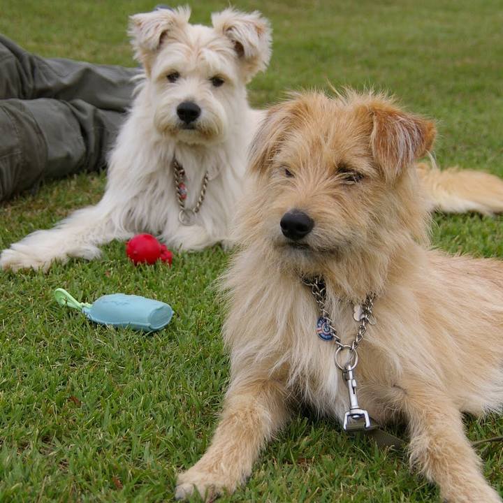 E970dc44 08a4 48d6 bdd5 19ce749cade1 1543492348062