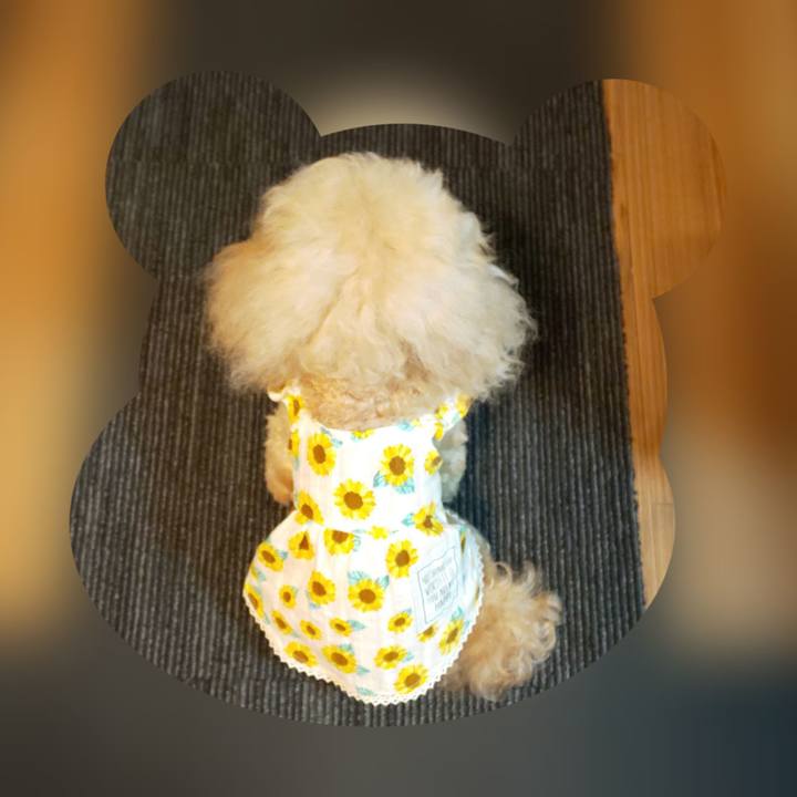 E970e464 b354 4c96 bc9c a9ad9ee8cb5c 1566564178275