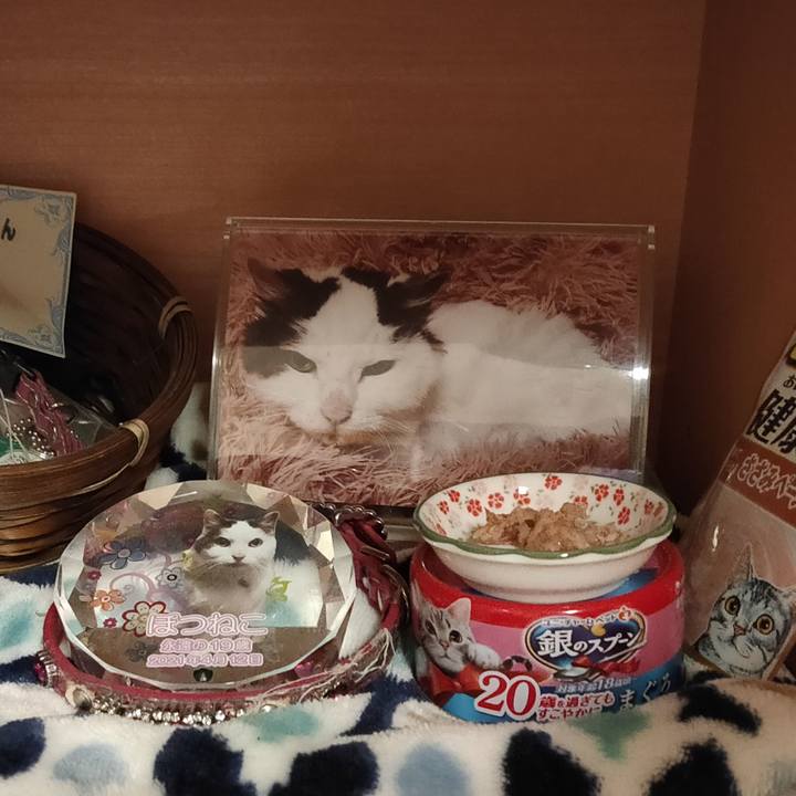 E970f38f 6f23 43b5 82f6 14f5508d9a94 1649854198067