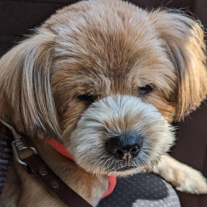 E9712381 e7a2 46e9 b38f 5baa1650e427 1692584743764