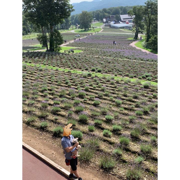 E97130c2 6640 4607 8978 5debfc4f7391 1566814121095