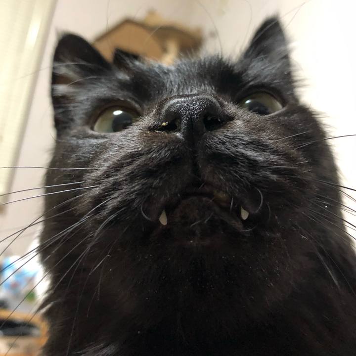 E9715445 a6d9 4f3c b1fd 8381d9030f27 1611318135147