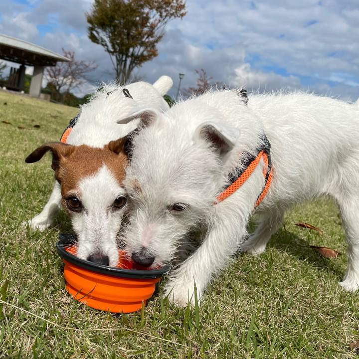 E9715791 77e9 4844 a997 4edcf94a3b9b 1762394887114