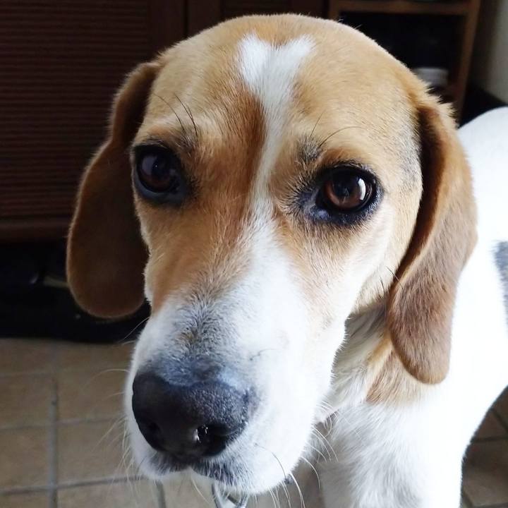 E971963d d6f5 4767 9e5f 514edee62772 1592360382158