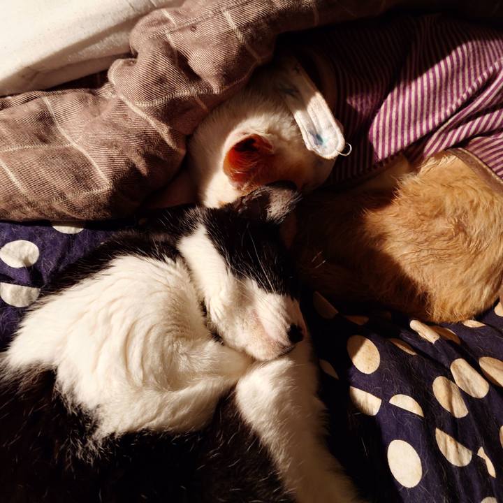 E971a356 6afc 4752 b303 b09c507a791d 1773062916464