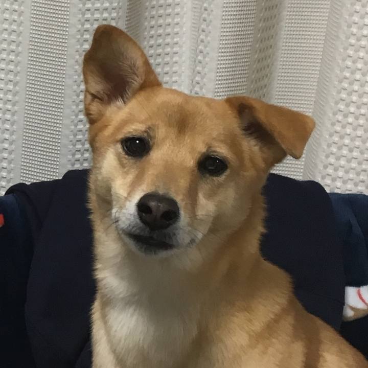 E971b5f0 efc9 4503 a8bb 56943e32d5aa 1546439588854