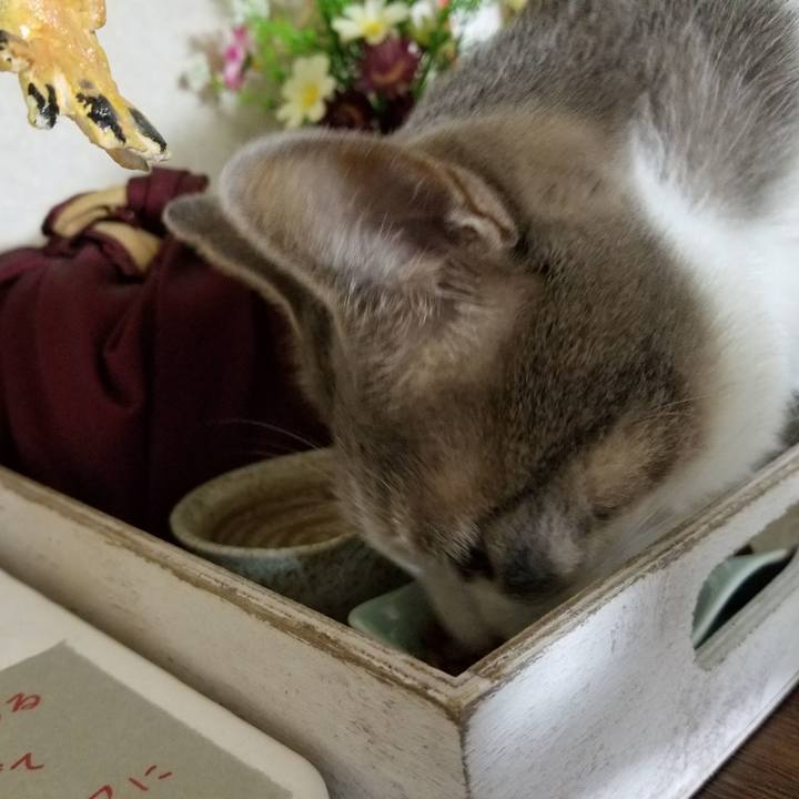 E971b740 70f9 4ed6 8235 192583d796fb 1519395768422