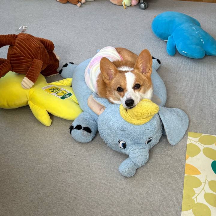 E971b95a c1d1 41e4 a3ac 3f2d43533aac 1768008318345