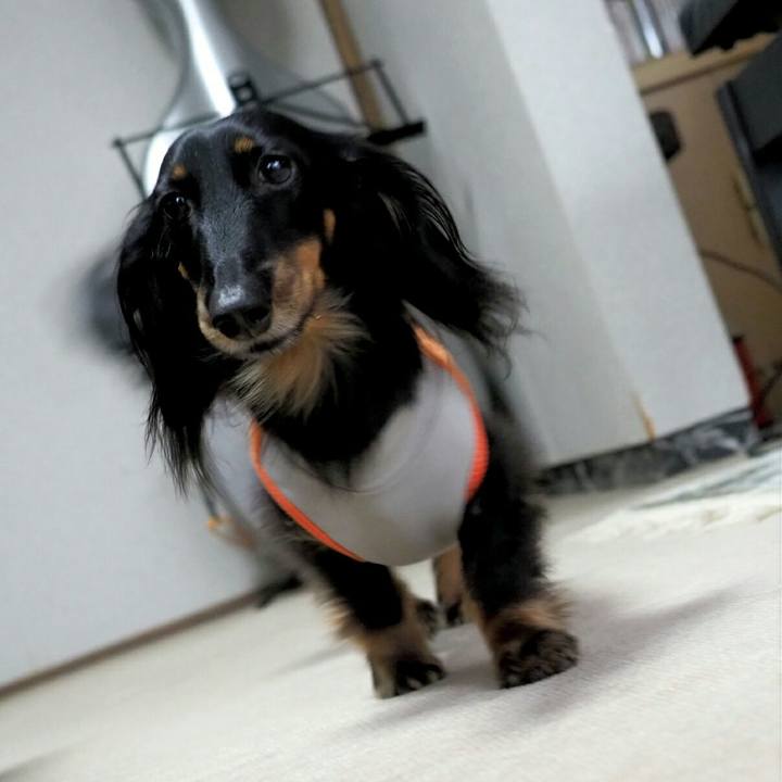 E971e76b 1e4c 4853 8835 428b81dc52b0 1549254466993