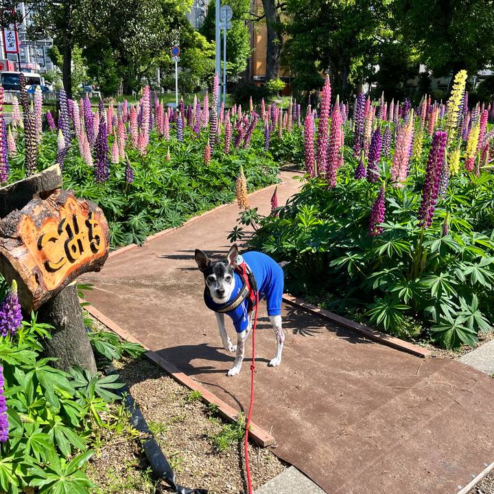 E971e8eb e6ba 4dea 99ca 65349c450e23 1651545275079