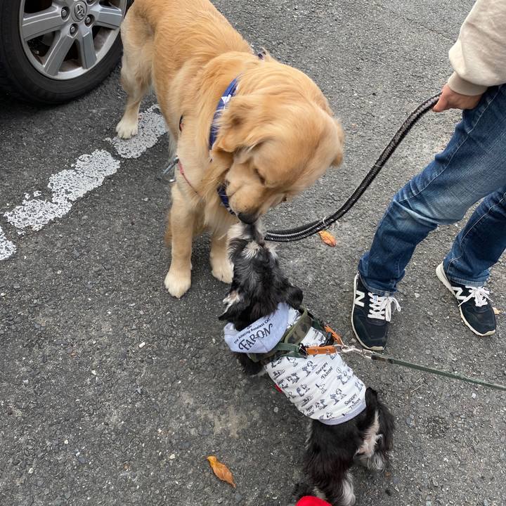 E9724baa 0fdf 49b4 a710 6f31ee658808 1576389813784