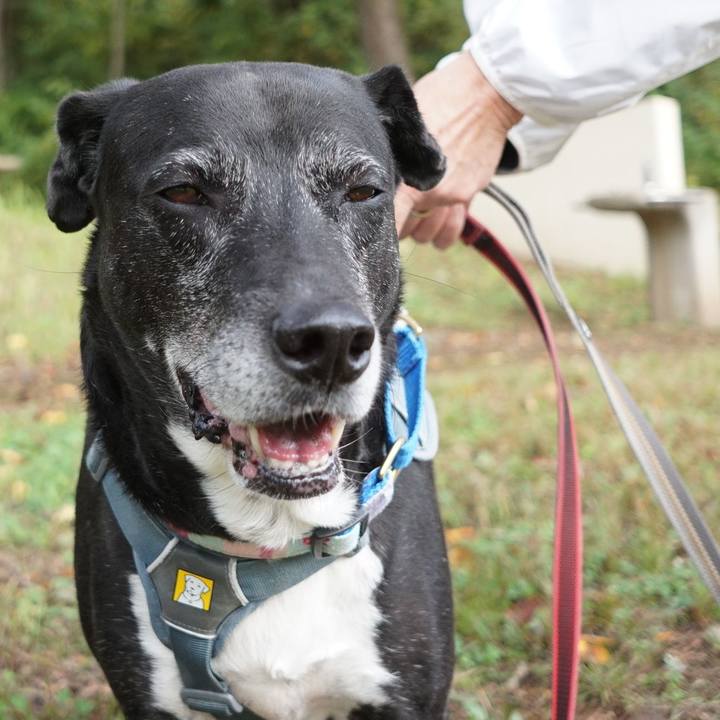 E9725f47 3065 4900 983c 69b9912e7362 1761699709694