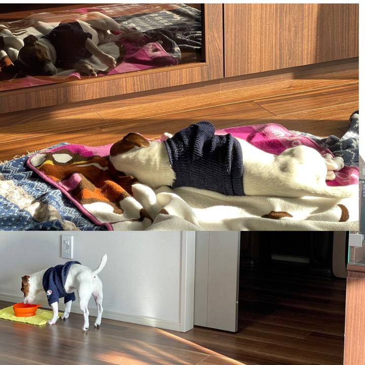 E9726896 fe5d 4444 a19f a1bfdc827afa 1645056135616