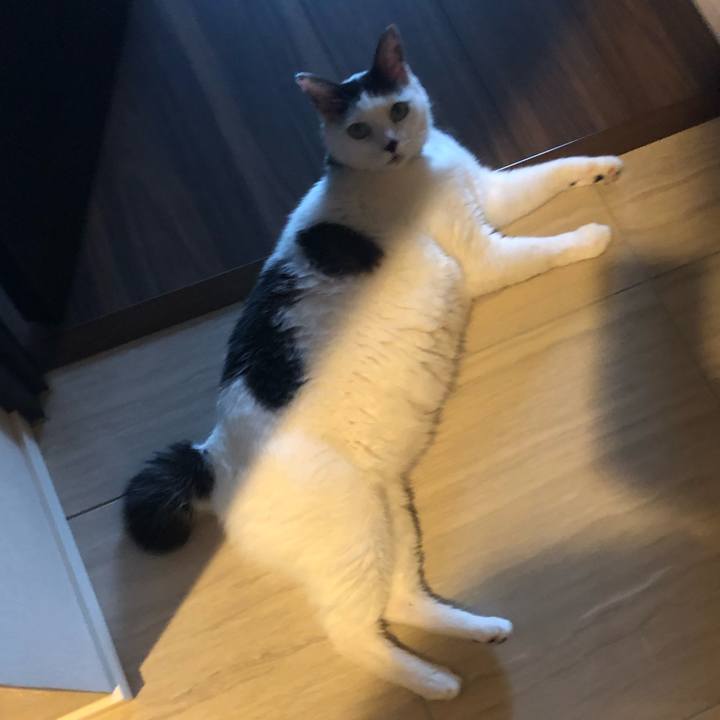 E9727ec9 91c5 4c4f 8ba5 d0da823e0794 1562210826492