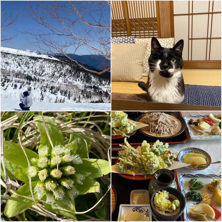 E972945b 3fa5 419a 99fc 6e5f86ec0a56 1746363218050