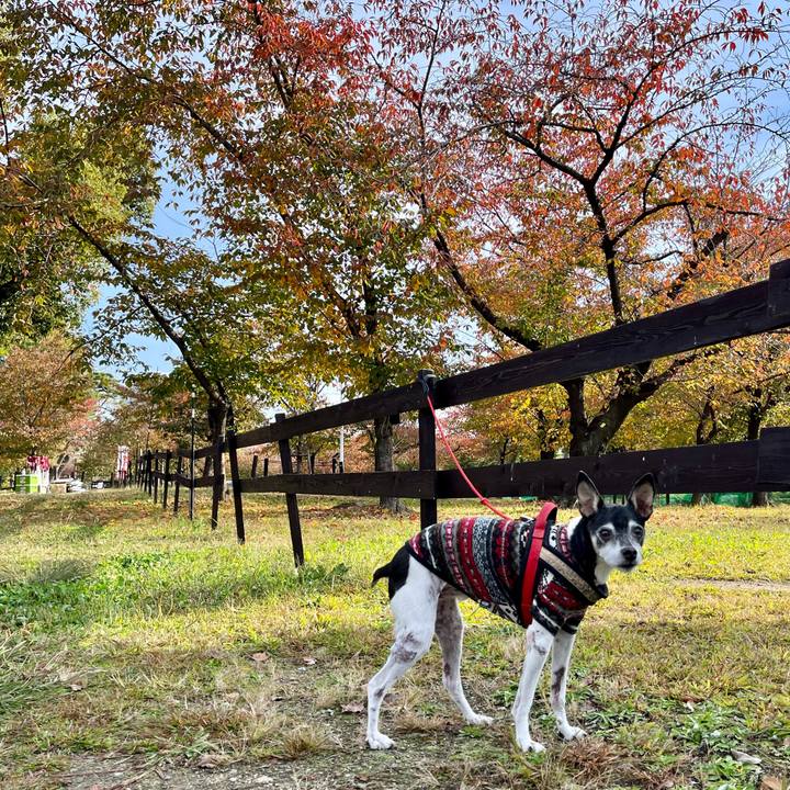 E972c7ad 1a45 43cf 8793 26f017b034a0 1637459536928