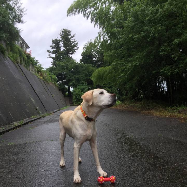 E972e2d5 77a5 4c97 8deb c0831762f6cb 1557644306604