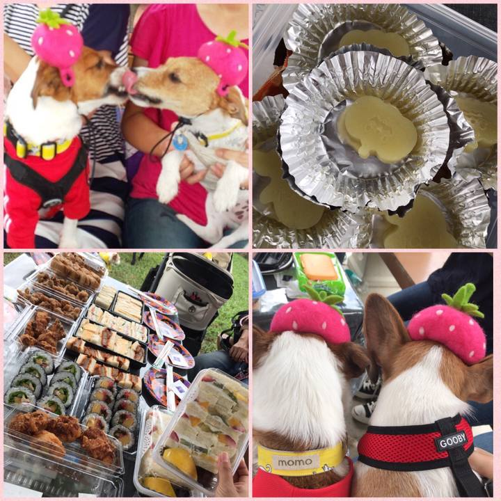 E972fd65 1eb5 4c6e 8644 1d59735a2103 1569238744330