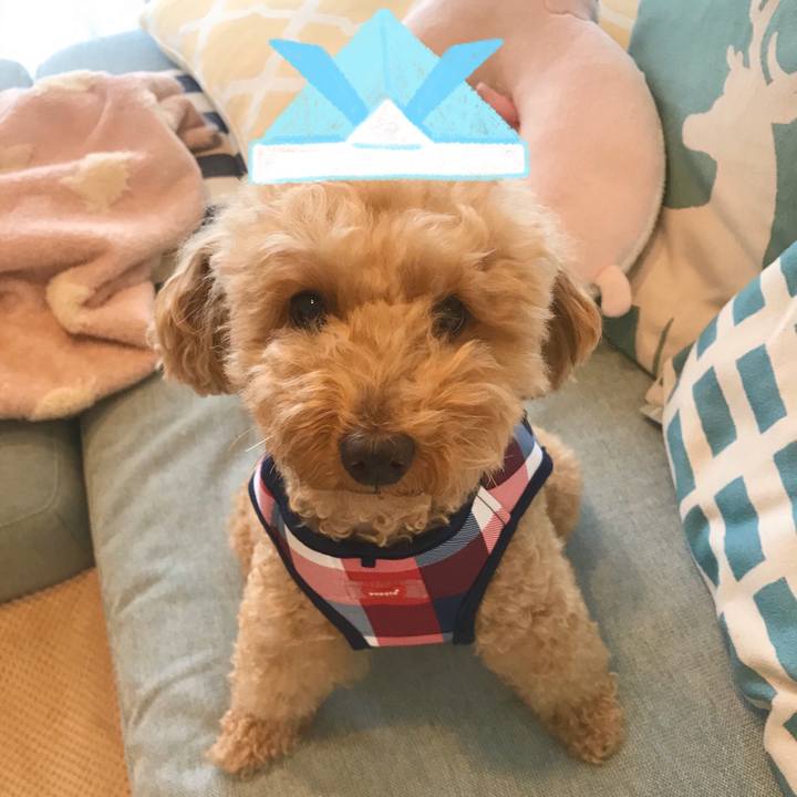 E9730fa4 114c 4090 9a40 d3c5b96391d3 1588584644179