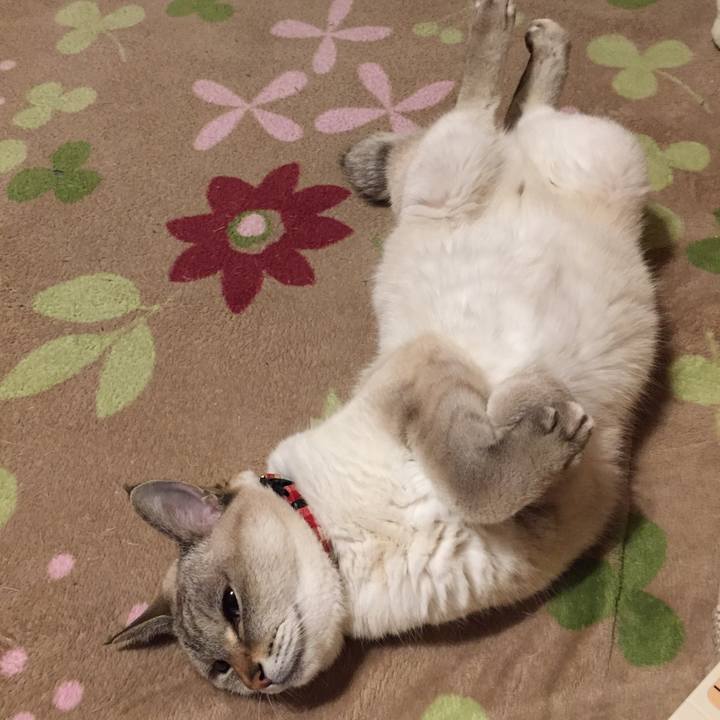 E9733bb8 d057 4ef0 b3e1 f11473b65cb6 1578741269652