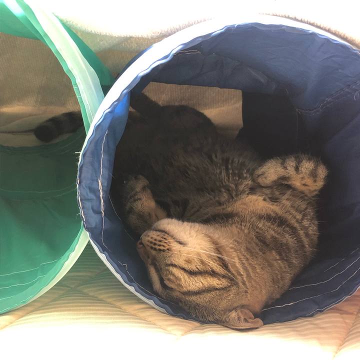 E973c2e7 54f8 4a58 a707 65b4f3eabce9 1565533152951