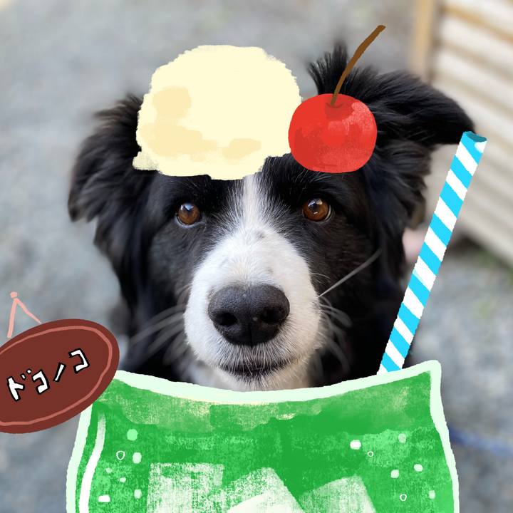 E973ff00 e9d9 4f89 a1f9 8f61188e3320 1755178839042