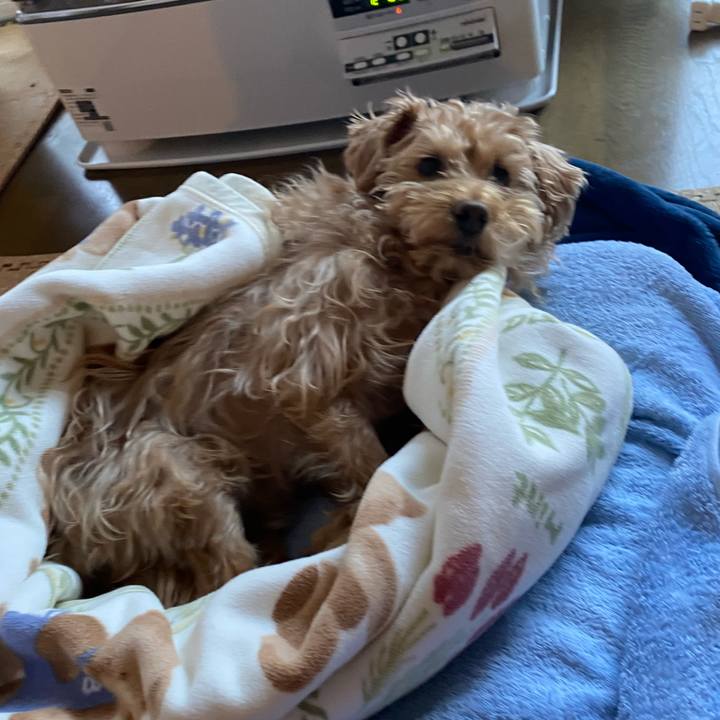 E9740dcb a046 4dab 8b44 9147b994b931 1673997549932