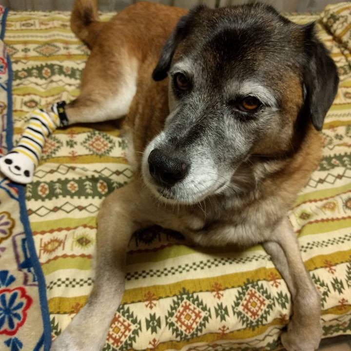 E9743a0c ab6d 4608 9915 93e7c0078b67 1540690874310