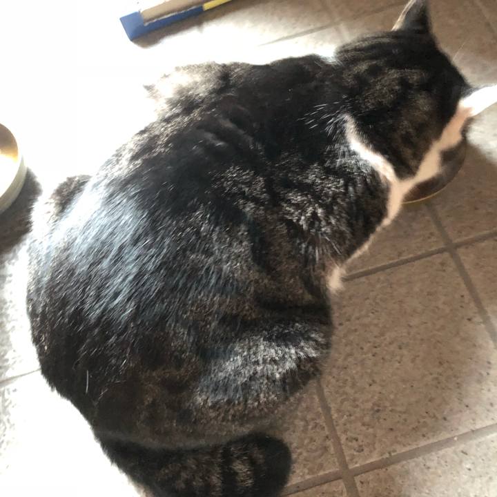 E9745054 2cf3 47b7 b790 1a2b63d405d6 1541667331897