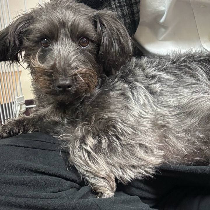 E97455a5 63de 4cfc 8394 4fac8965d010 1770645372485