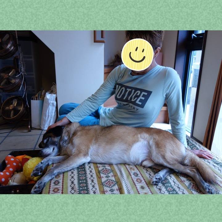 E9745977 123d 4de6 be8d 554e1c0ba446 1615940757058